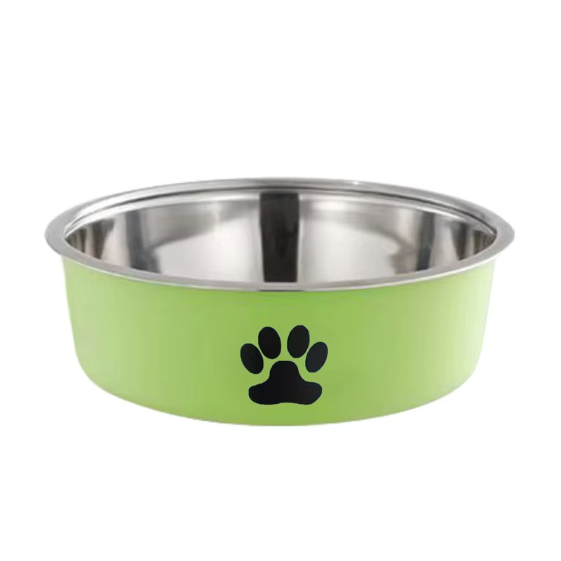 Colorful Stainless Steel Pet Bowl