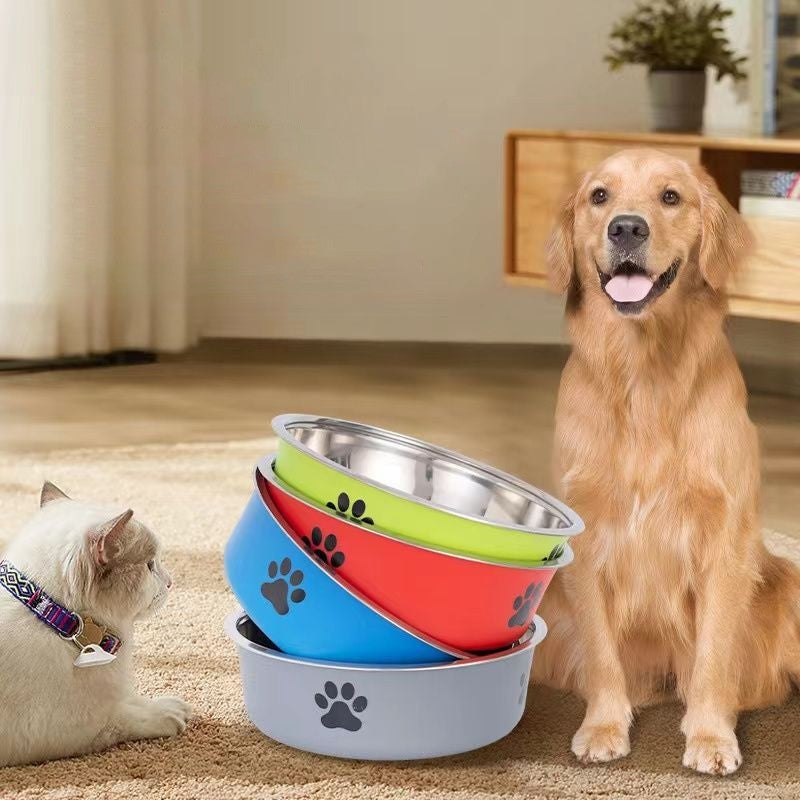 Colorful Stainless Steel Pet Bowl